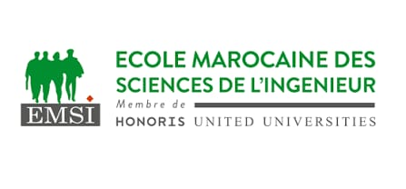 Logo EMSI